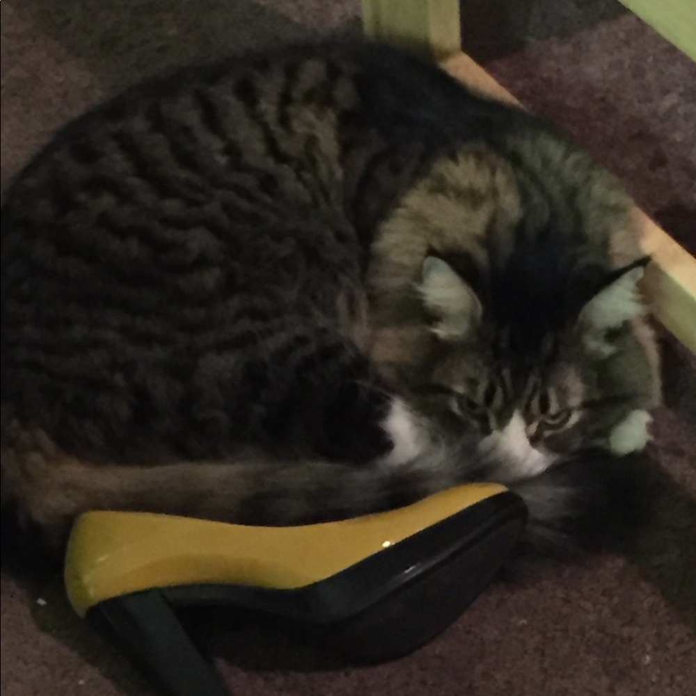 Meet your Posher, Linnea